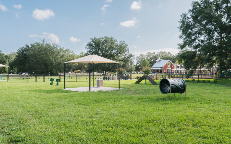 Granary Park Playground